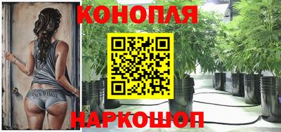 мдпв Пушкино