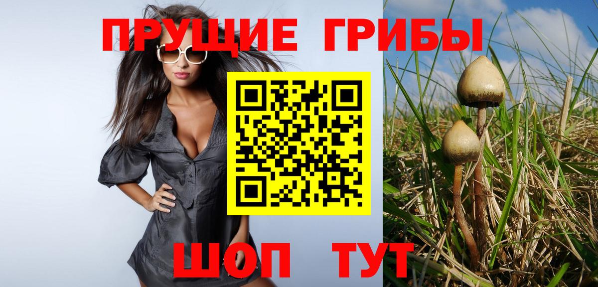 Псилоцибиновые грибы MAGIC MUSHROOMS  Вход с VPN  Анжеро-Судженск  Галлюциногенные грибы Psilocybine cubensis 