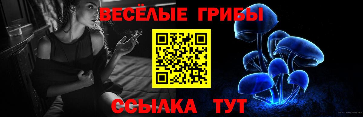 Галлюциногенные грибы Cubensis Анжеро-Судженск